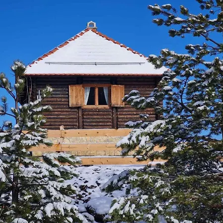 Holiday home Kuca Za Odmor Tornik Zlatibor